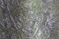 Prestleigh fibreglass roof work